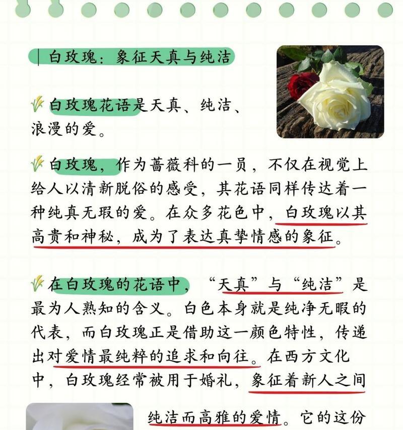 22只玫瑰的寓意是什么？送22只玫瑰花有何深意？