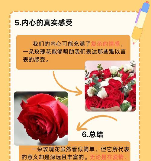 1560朵玫瑰花的寓意是什么？花语能表达哪些情感？