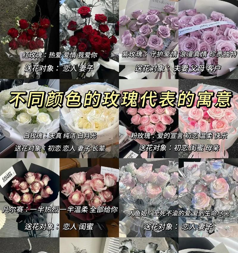 1560朵玫瑰花的寓意是什么？花语能表达哪些情感？