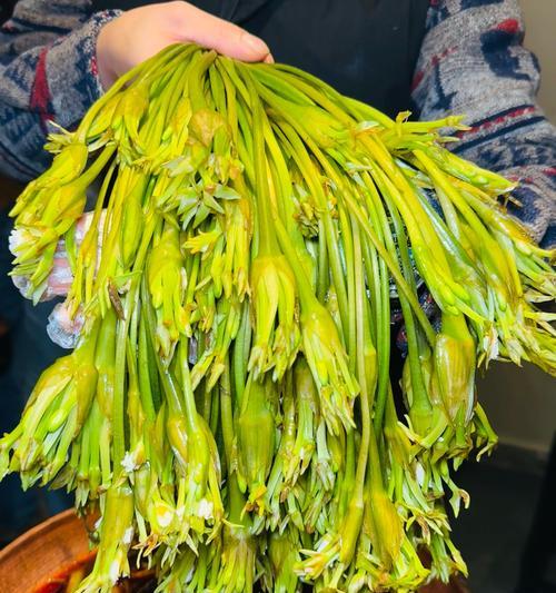 盆栽花卉调酸度的方法有哪些？如何为不同花卉调整土壤pH值？