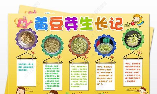 植物日志的标准模板是什么？如何记录植物生长的详细信息？