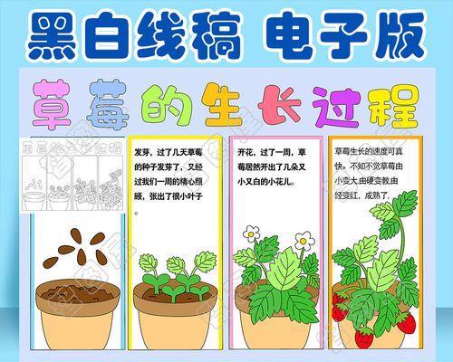 植物日志的标准模板是什么？如何记录植物生长的详细信息？