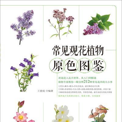 花与植物颜色匹配的秘诀是什么？