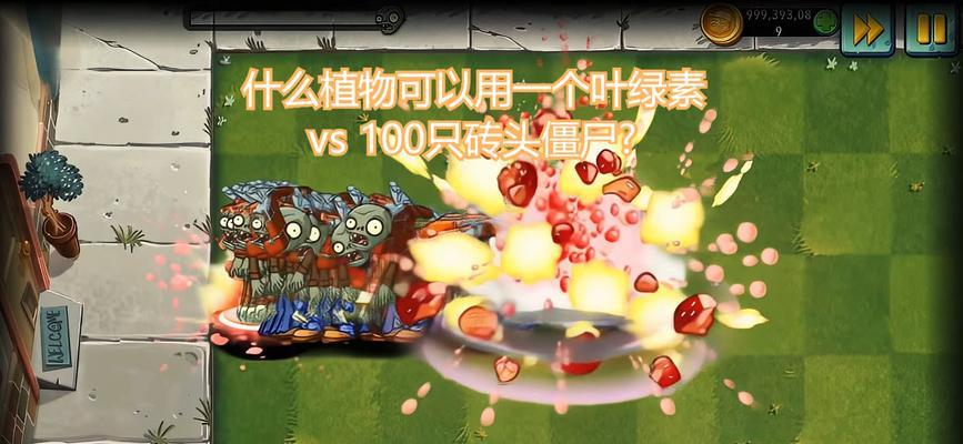 “什么代什么僵”是什么植物的名称？这个植物有什么特性？