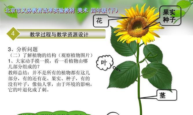 植物怎么辨别物品？它们是如何识别周围环境的？