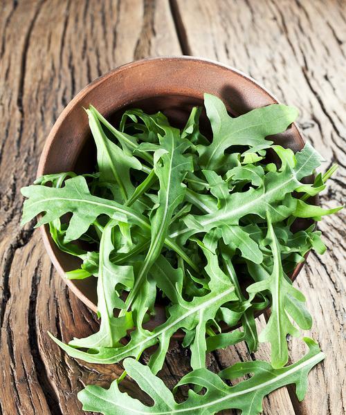 寝麻植物是什么？它有哪些用途和特性？