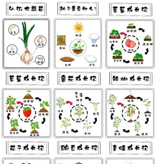 动物植物的概念是什么？动物植物与普通植物有何不同？