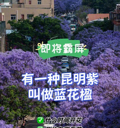 哪种花代表忘记？花语中忘记的含义是什么？