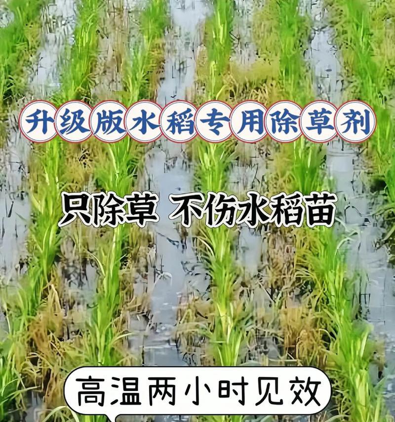 水稻复配除草剂是什么？除草剂复配的含义是什么？