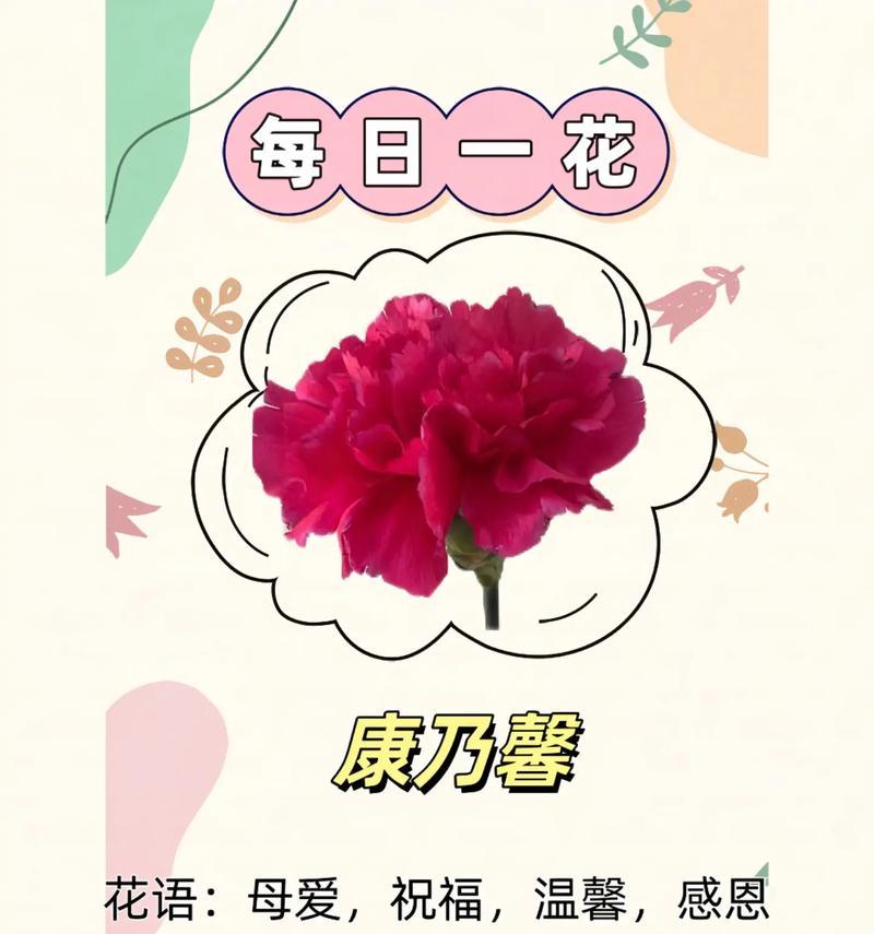 康乃馨电影结局寓意何在？结局背后的深层含义是什么？
