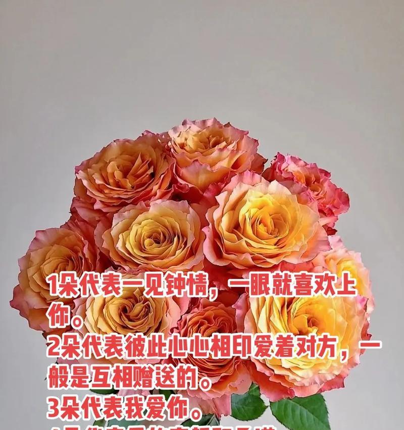 19朵玫瑰代表了什么花语？它有什么特别含义？
