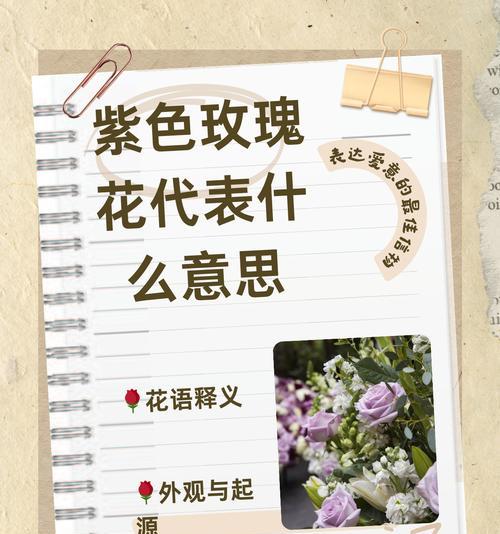 19朵玫瑰代表了什么花语？它有什么特别含义？