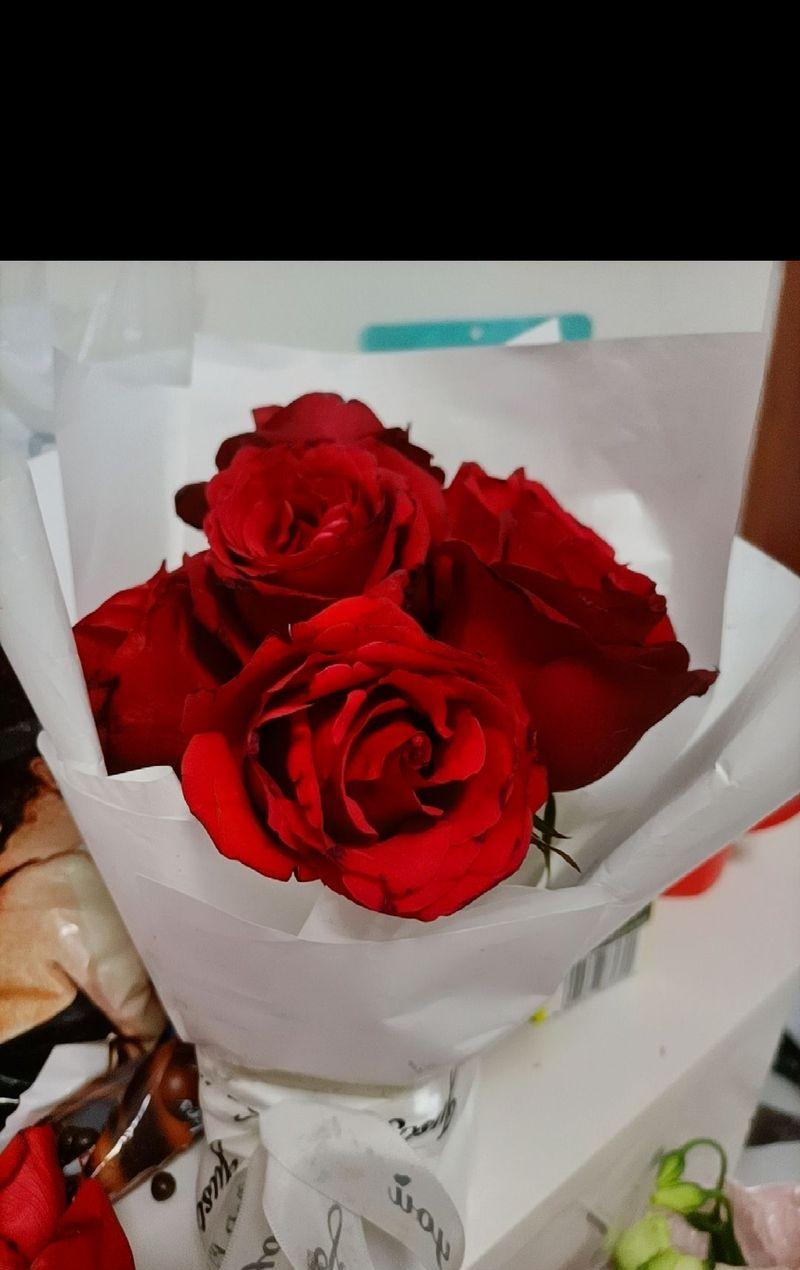 七六朵玫瑰花的寓意是什么？