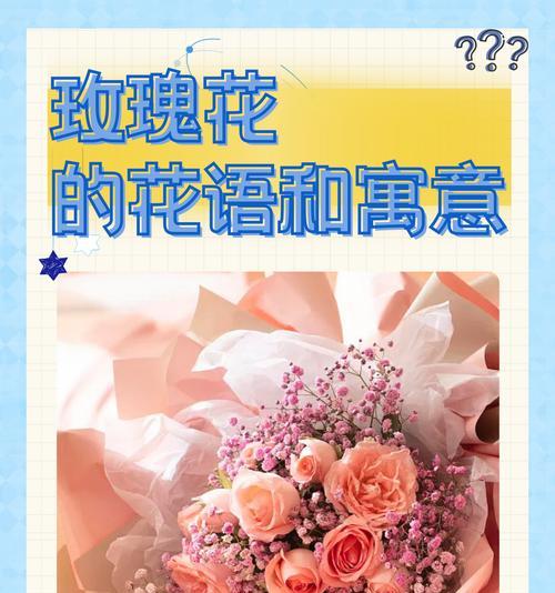 蓝玫瑰搭配百合的含义是什么？蓝玫瑰与百合组合的意义是什么？
