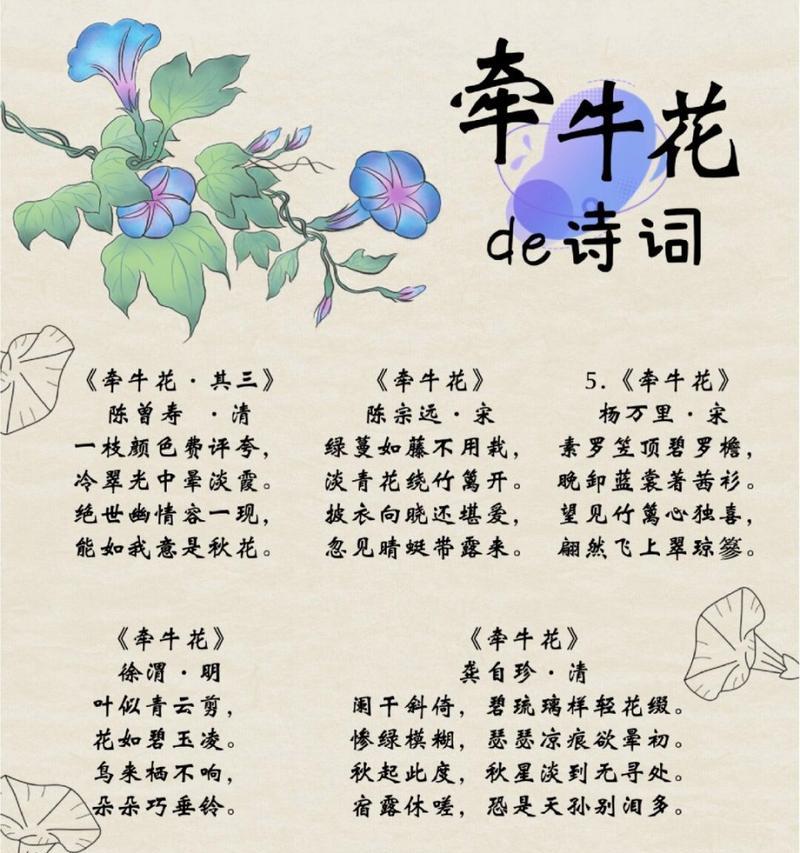 神奇花卉的意思解释是什么？神奇花卉的寓意是什么？