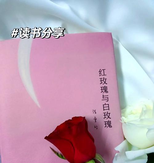 十朵白玫瑰加一朵红玫瑰的花语是什么？