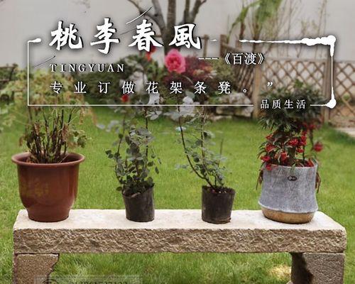 小百合的含义是什么？