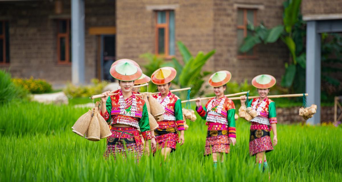 傣族花儿寓意什么？傣族传统花卉的象征意义有哪些？