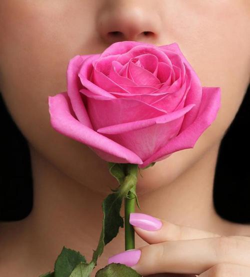 一万顷玫瑰花的花语是什么？这种说法在花语中有何含义？