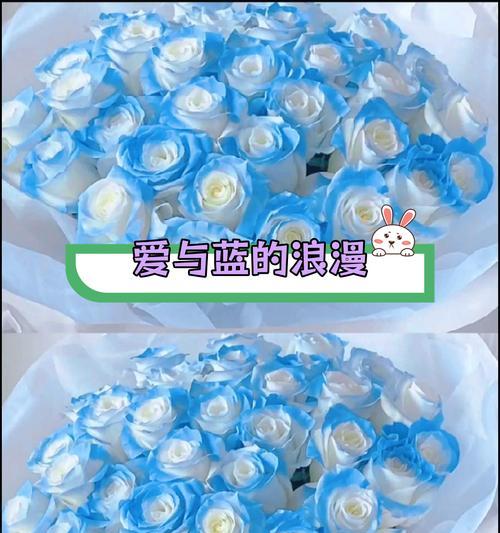 蓝色浅玫瑰花的花语是什么？