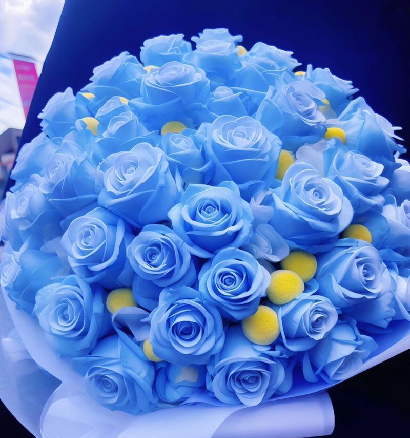 蓝色浅玫瑰花的花语是什么？