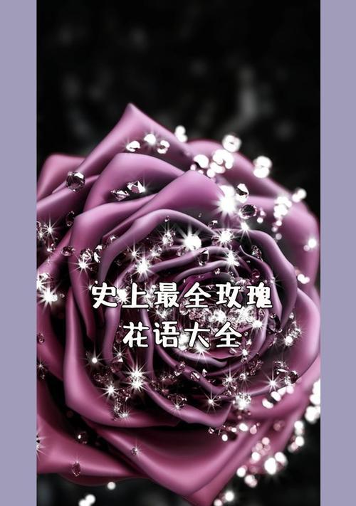 19朵香槟玫瑰的花语是什么？