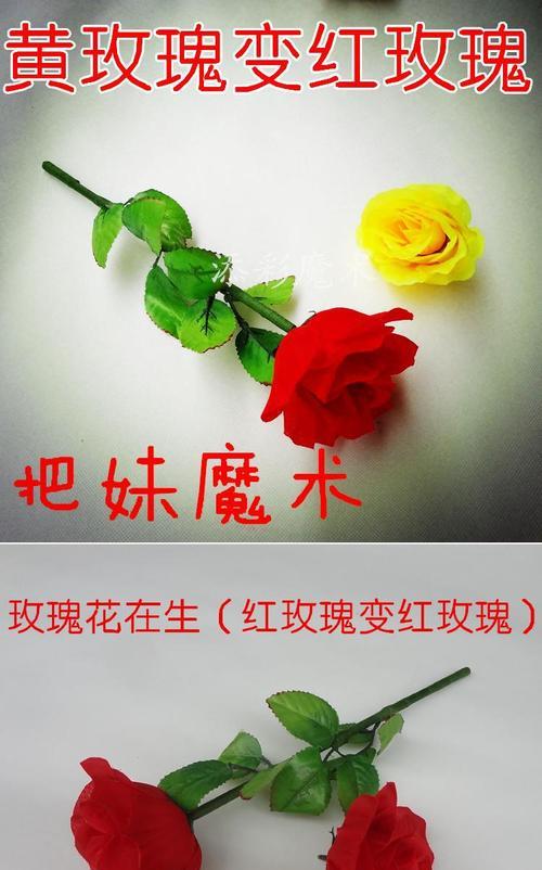 玫瑰花魔术背后的含义是什么？