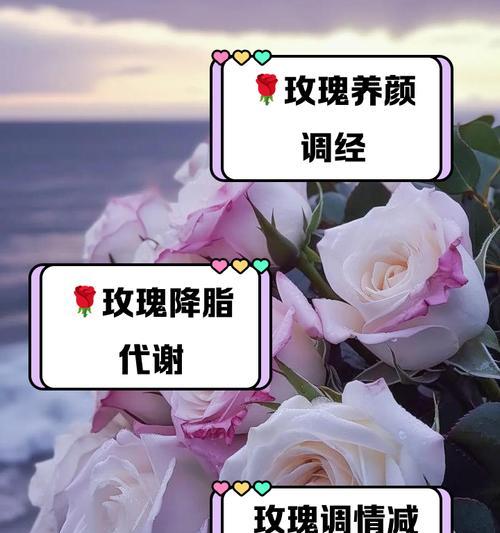 玫瑰花魔术背后的含义是什么？