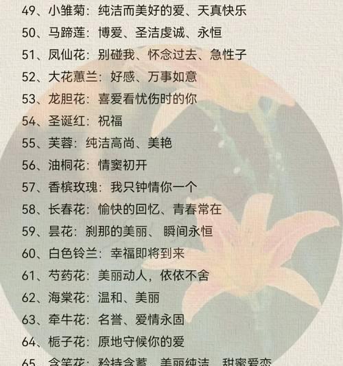 送多少朵玫瑰花代表什么意义？玫瑰花数量的含义是什么？