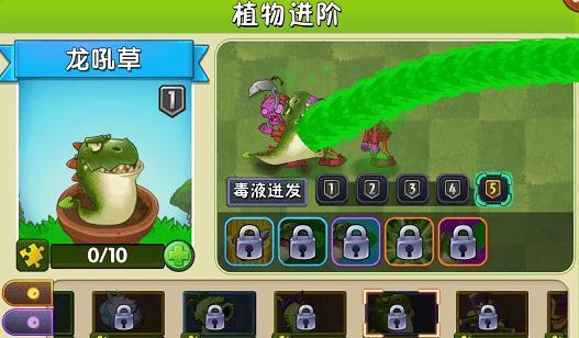 恐龙橡胶植物有哪些？它们的养护要点是什么？
