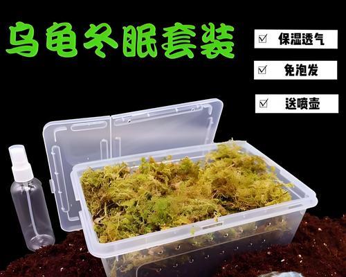 加热龟缸植物怎么养？养护过程中需要注意什么？