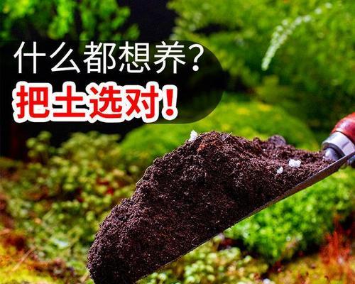 通用花卉土壤分类标准有哪些？如何根据土壤类型选择花卉？