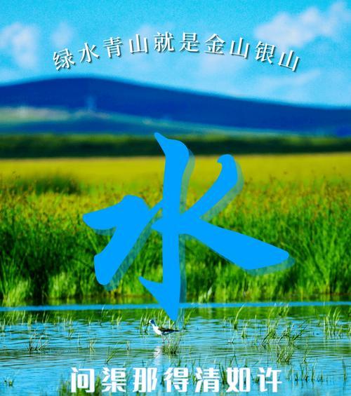 湖草的种类名称和特点是什么？