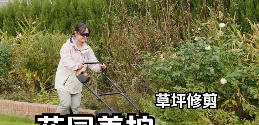 小院草坪怎么选植物呢？草坪植物选择的注意事项有哪些？