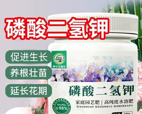 哪些植物喜肥？如何正确施肥促进植物生长？