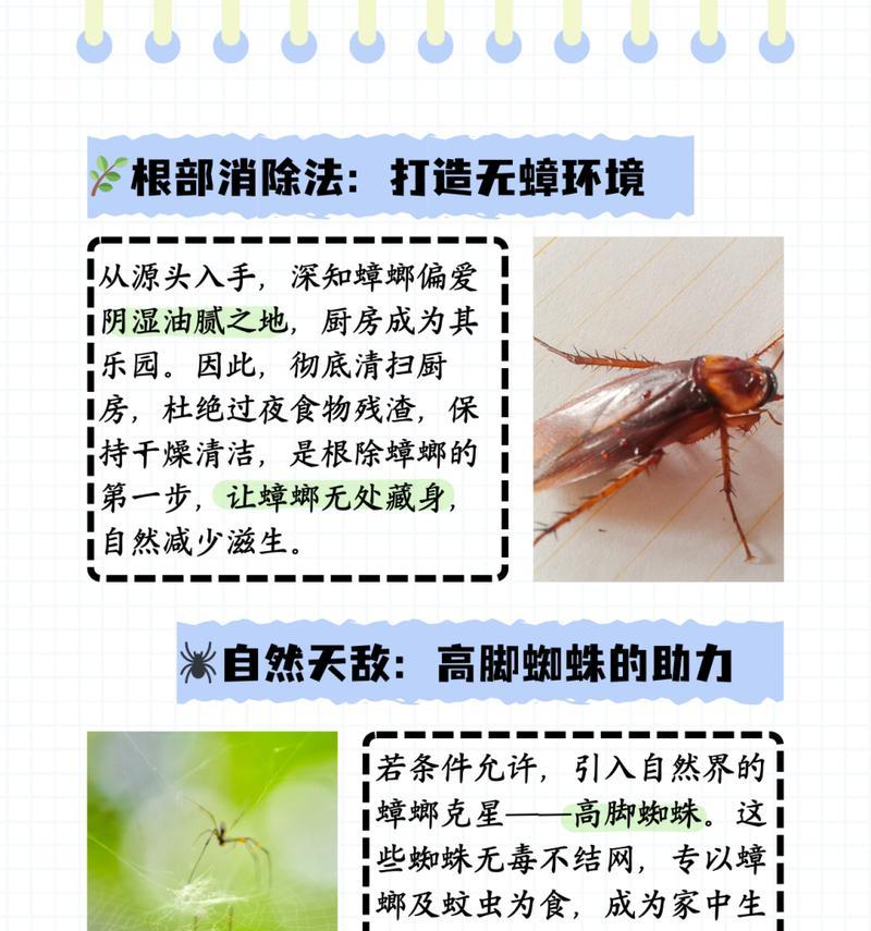 种什么植物可以驱蟑螂？有哪些天然植物具有驱虫效果？