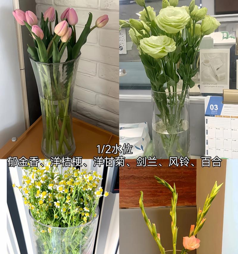 水位适合摆什么植物？如何选择适合水位的植物？