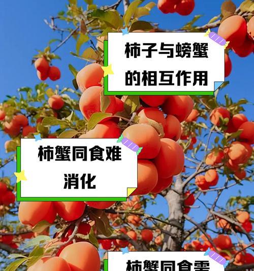 螃蟹相克的植物有哪些？如何避免？