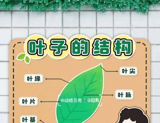 自制用植物染料有哪些？如何提取和使用？