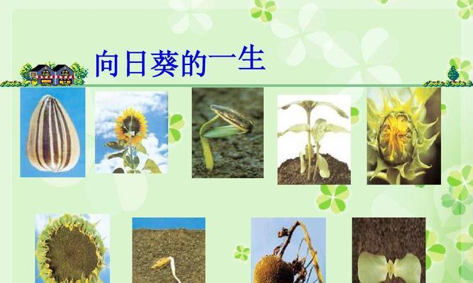 植物有哪些共同特点？如何理解植物的特性？