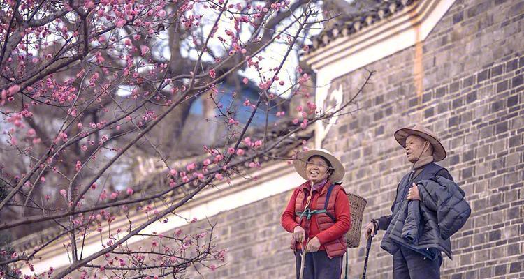 花卉施肥纪录片有哪些推荐？观看这些纪录片能学到什么？