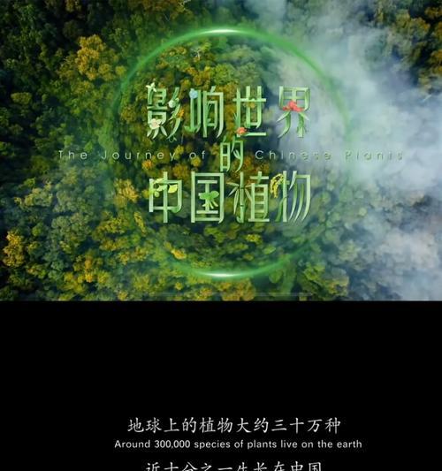 花卉施肥纪录片有哪些推荐？观看这些纪录片能学到什么？
