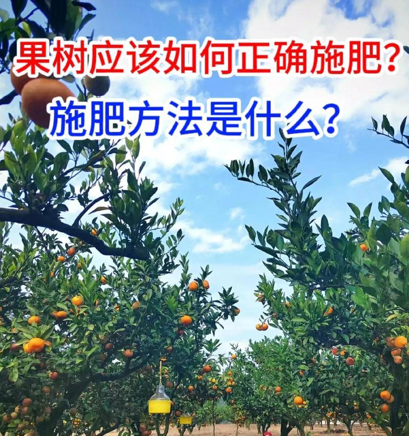 花卉和植物多久施肥一次为宜？施肥时应注意哪些问题？