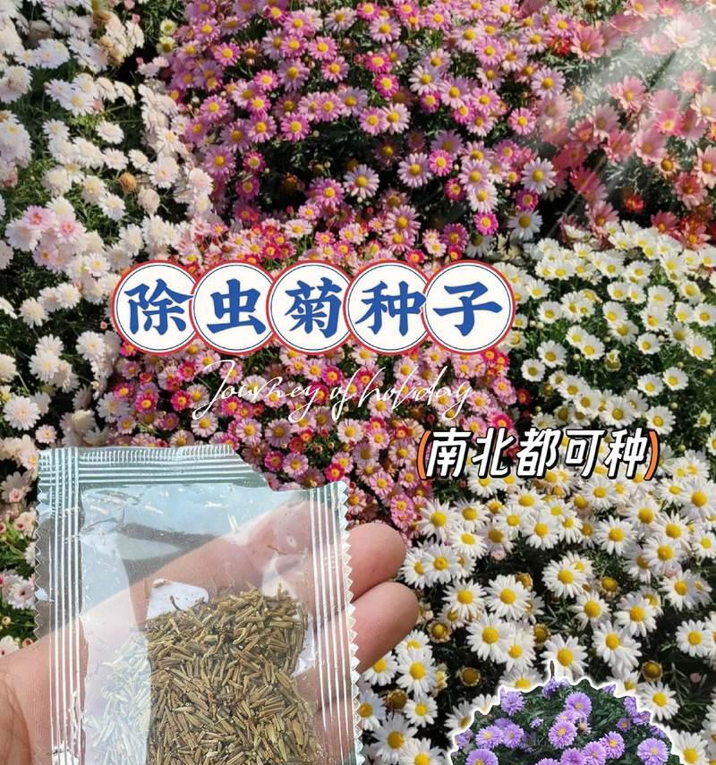 北方驱虫植物有哪些？如何利用植物天然驱虫？