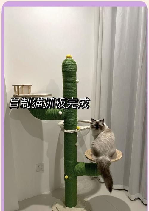 植物爬架的编织技巧有哪些？如何制作一个结实的爬架？