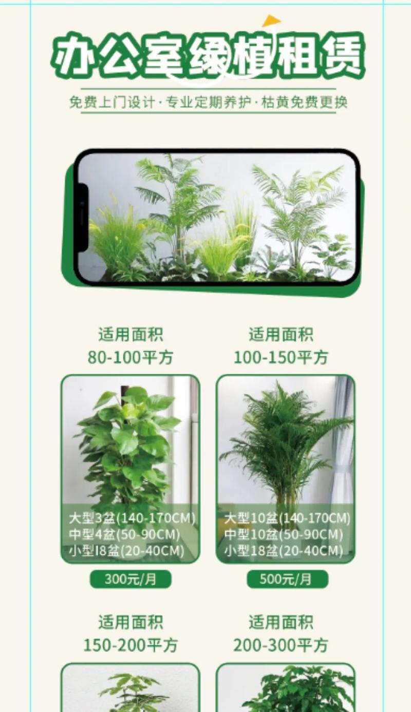 好存活绿植花卉选择和养护技巧？