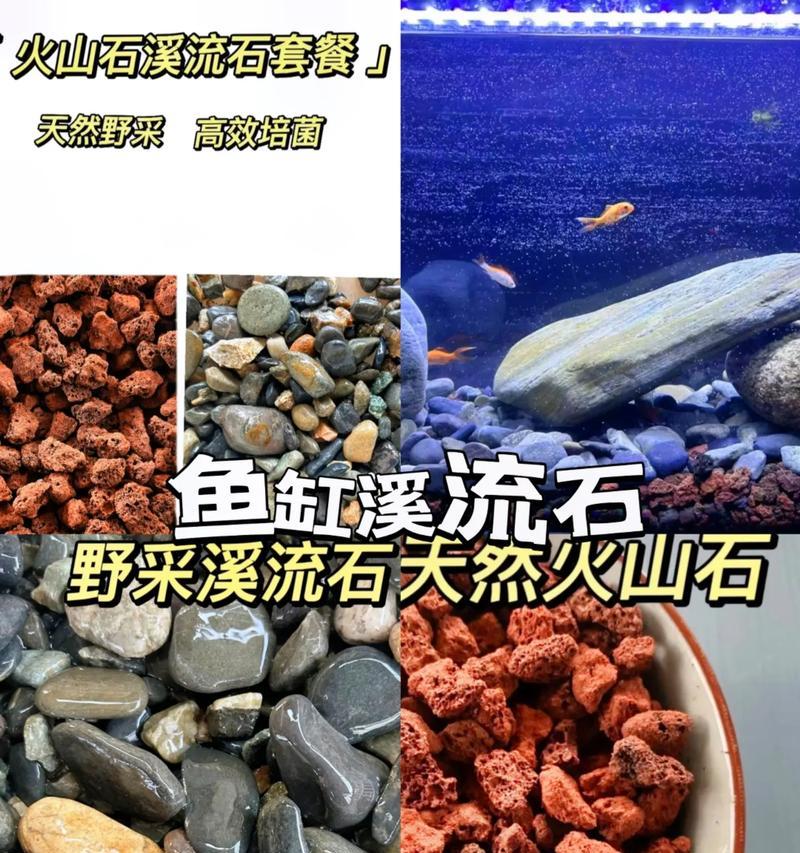 沙子鱼缸植物的正确养护方法是什么？需要注意哪些事项？