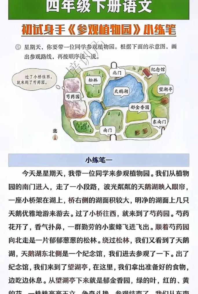 如何撰写关于家里植物的小练笔？