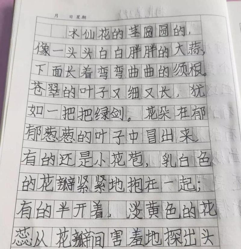 如何撰写关于家里植物的小练笔？