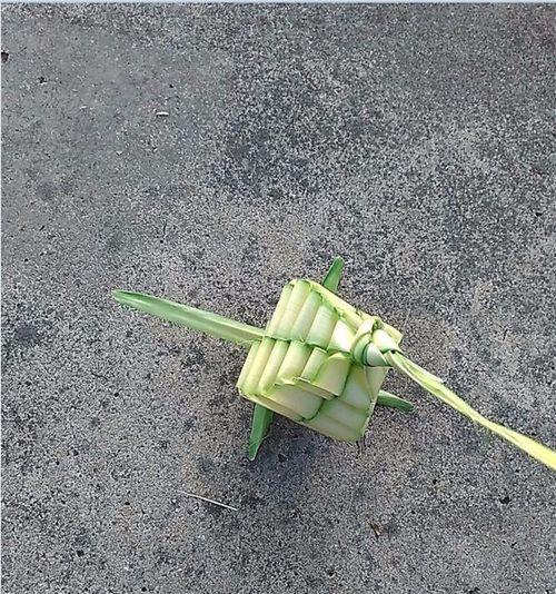 怎么做植物的样子灯笼？需要哪些材料和工具？